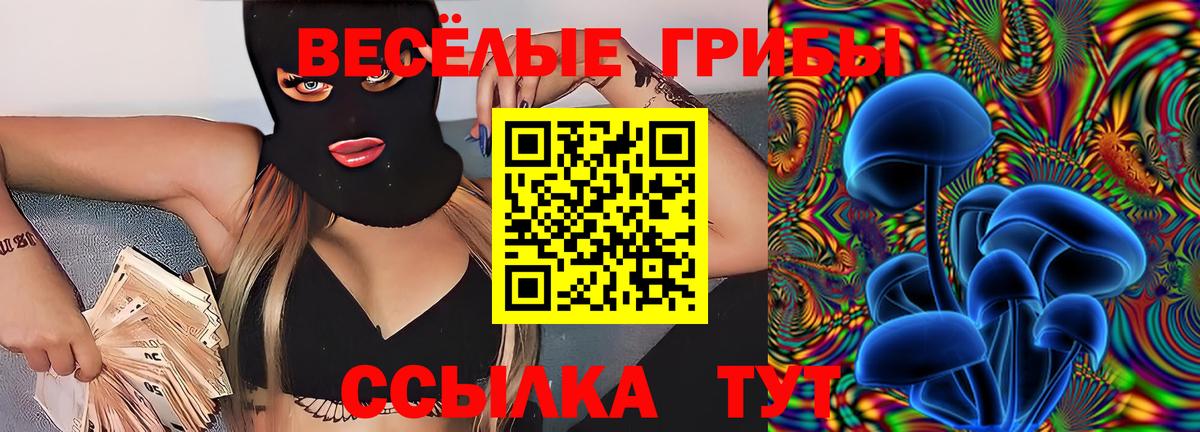 Заволжье  Галлюциногенные грибы Psilocybe  Вход с VPN  Псилоцибиновые грибы Cubensis 