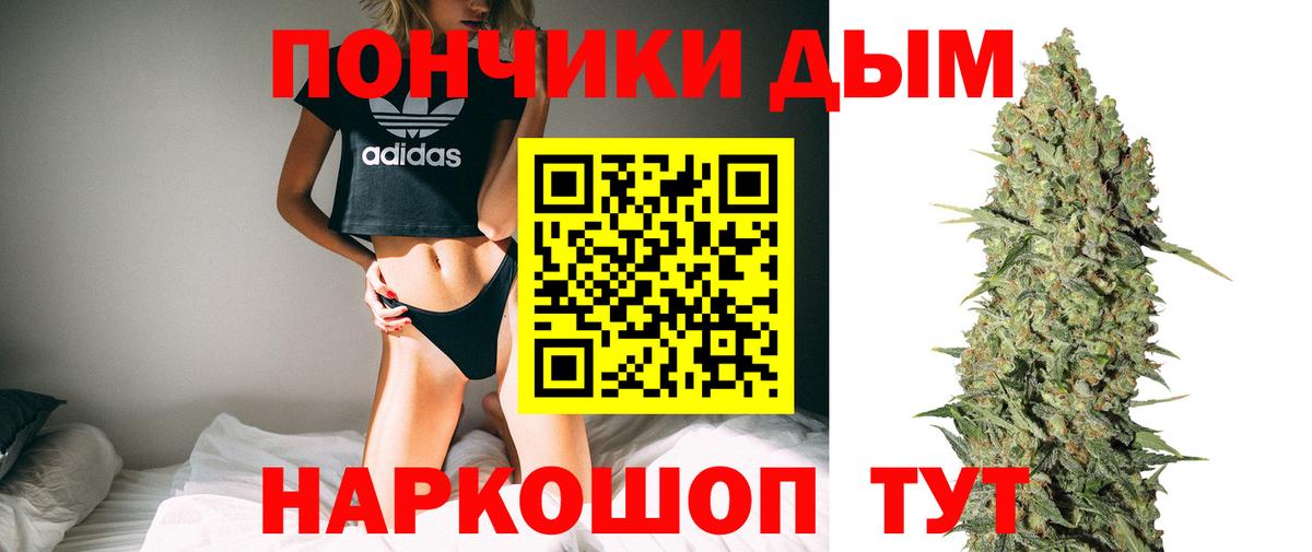 Шишки марихуана гибрид Заволжье